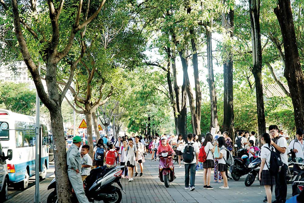 Từ[-]hoa[-]sữa[-]nghĩ[-]về[-]cây[-]xanh[-]đô[-]thị
